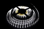 Светодиодная лента SMD 5050  60 диодов на метр IP 33 Холодный белый Светодиодная лента SMD 5050  60 диодов на метр IP 33 Холодный белый